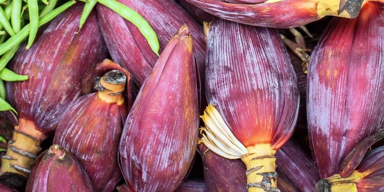 केराको फुल(बुङ्गा) खानुका फाइदा जानिराखौ