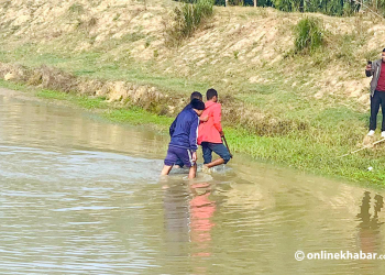 धनुषामा रितादेवीको हत्या उनकै श्रीमानबाट